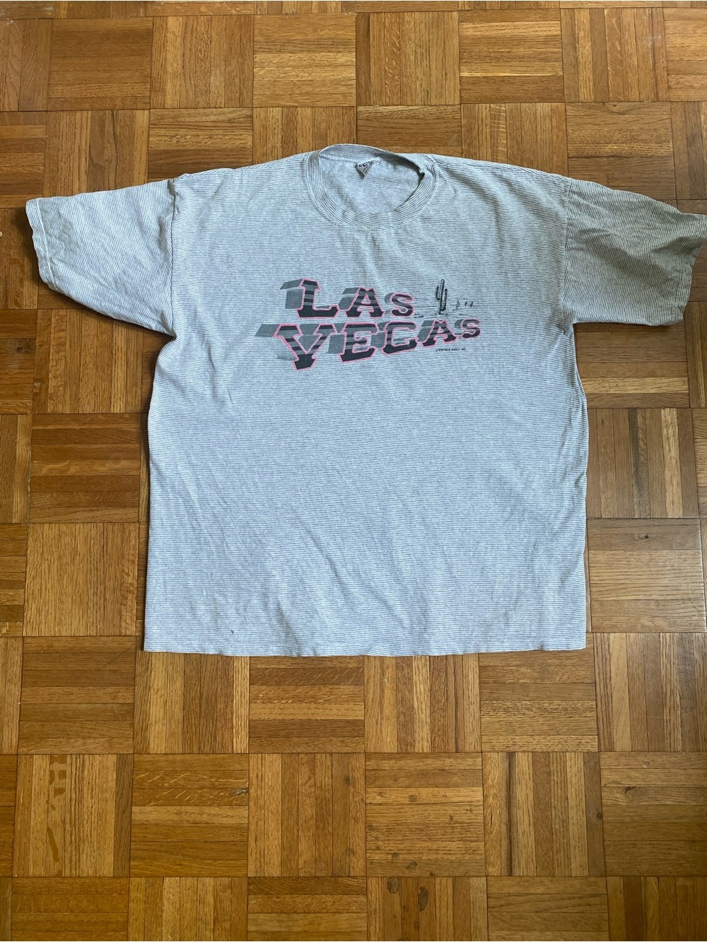 Vintage Striped Las Vegas Cactus Desert T Shirt 1990 Short Sleeve Adult XL
